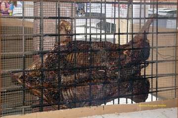 Encuentro vecinal en Valsequillo organizado por Asba (Foto Ildefonso Rodríguez)